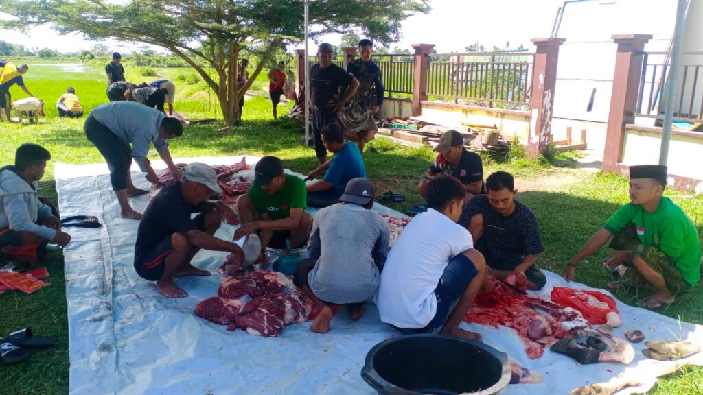 Idul Adha 1446 H, Yayasan Al-Jihad Salurkan 5 Ekor Hewan Qurban