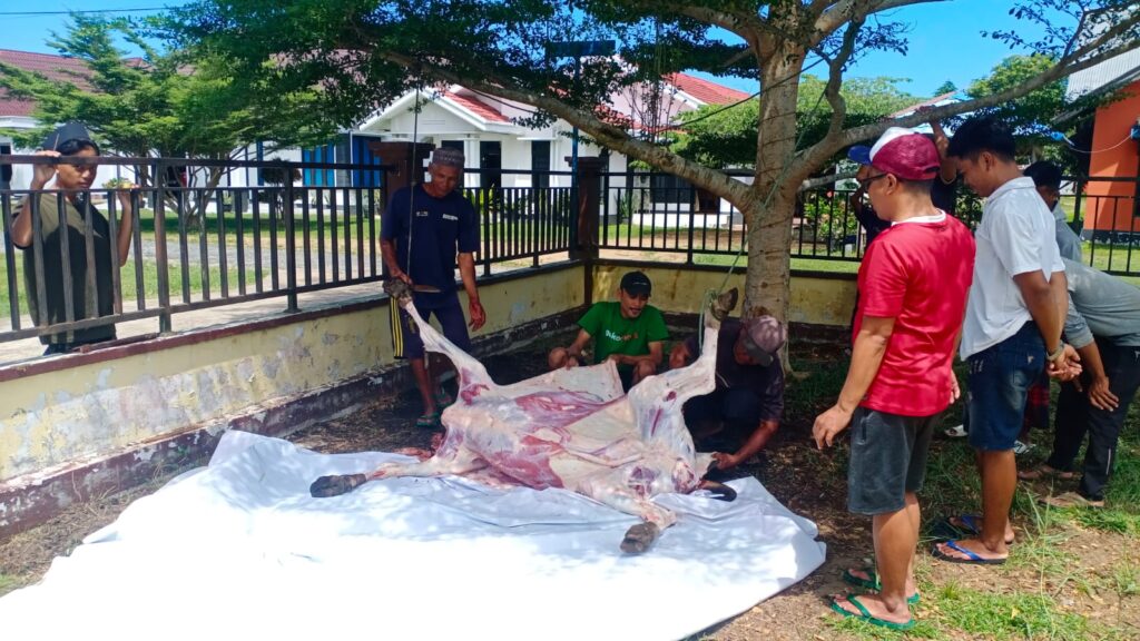 Idul Adha 1446 H, Yayasan Al-Jihad Salurkan 5 Ekor Hewan Qurban